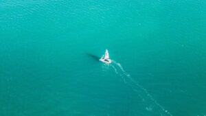 来年陌生的,是昨日最亲的某某-尖叫文案