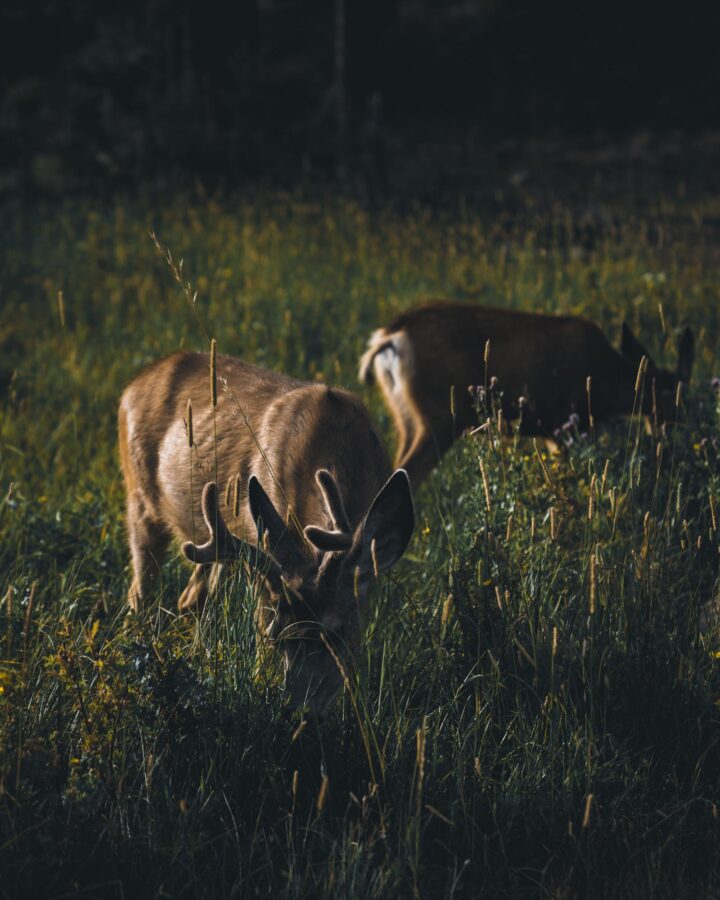 图片[25]-一眼就觉得好看的手机壁纸-尖叫文案
