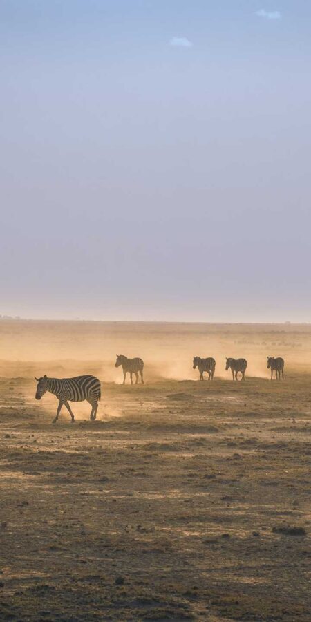 图片[11]-30张唯美手机壁纸-尖叫文案