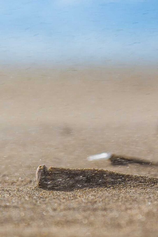 图片[30]-30张唯美手机壁纸-尖叫文案