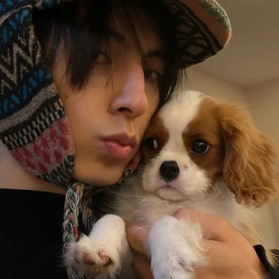 图片[22]-ins小众人物头像-尖叫文案