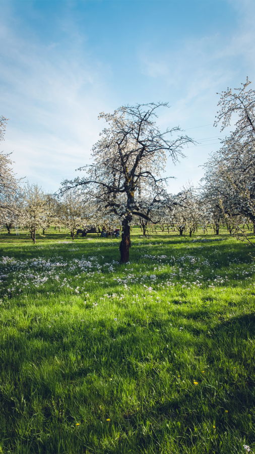 图片[8]-一眼惊艳的风景壁纸-尖叫文案