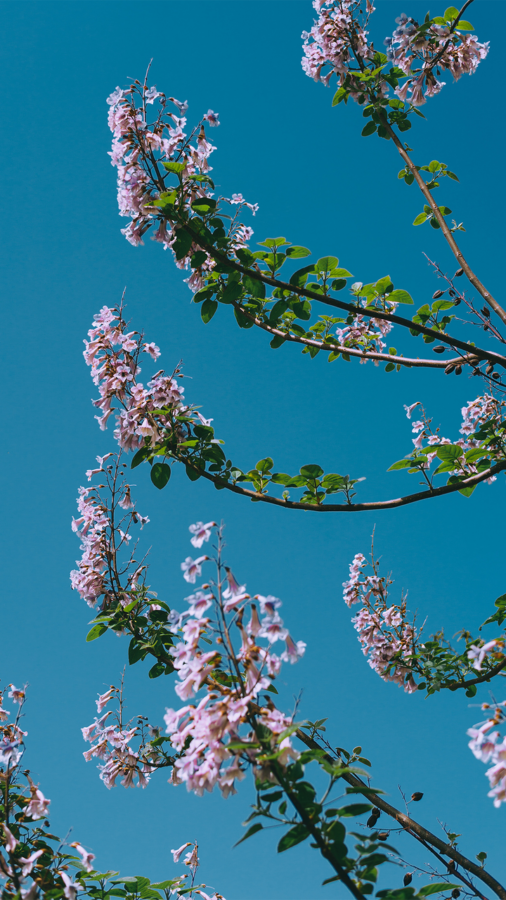 图片[6]-一眼惊艳的风景壁纸-尖叫文案