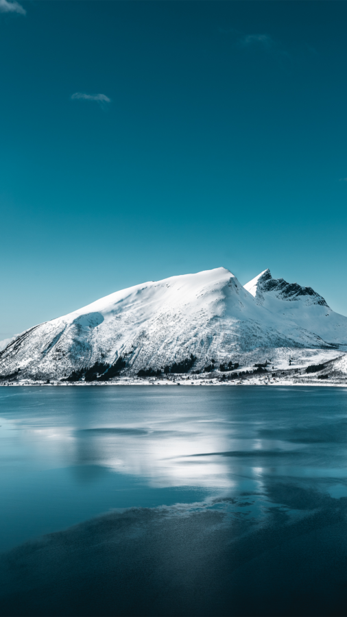 尖叫文案-你的创意灵感库