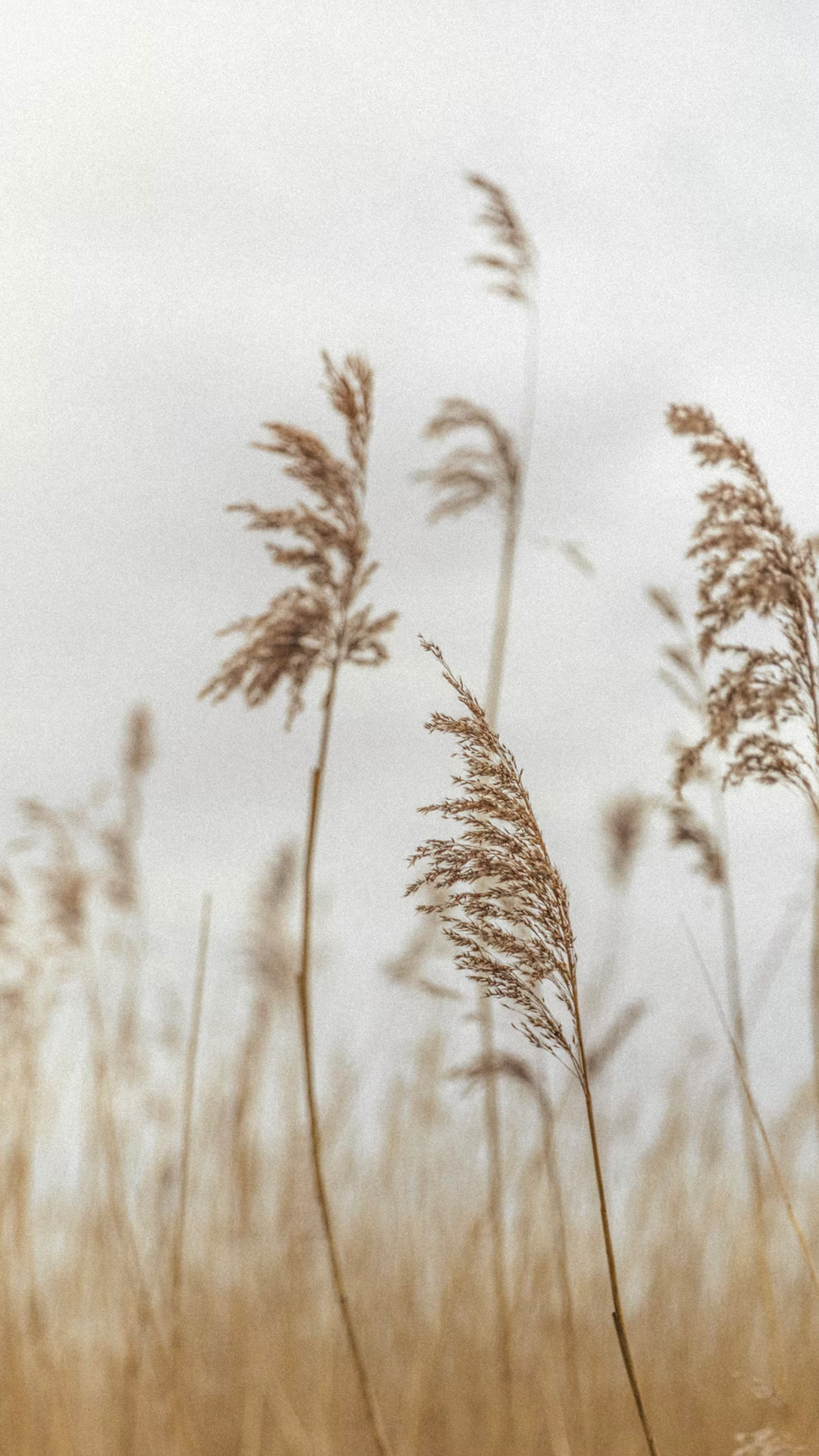 图片[5]-100句丧气又有哲理的文案-尖叫文案