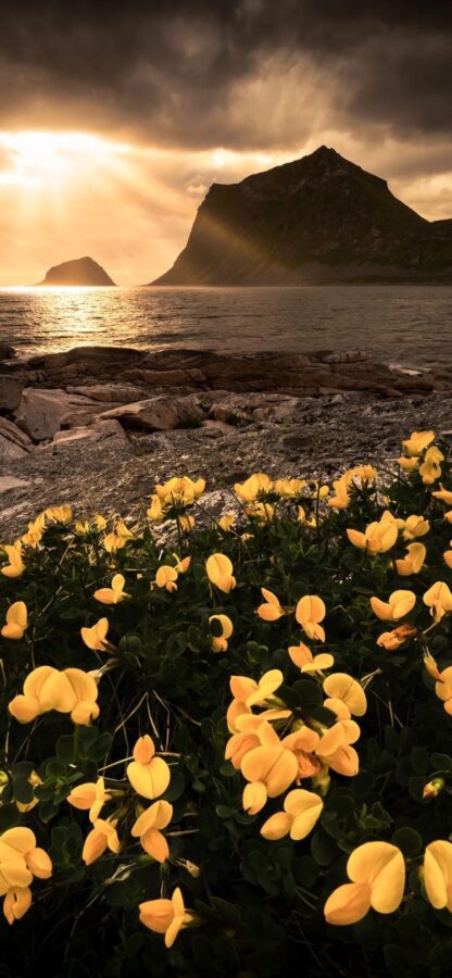 图片[36]-一眼惊艳的风景壁纸-尖叫文案