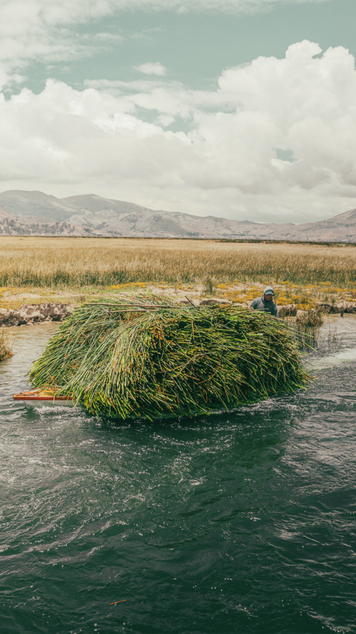 图片[5]-一眼惊艳的风景壁纸-尖叫文案