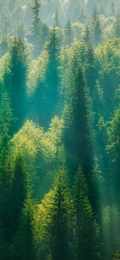 尖叫文案-你的创意灵感库