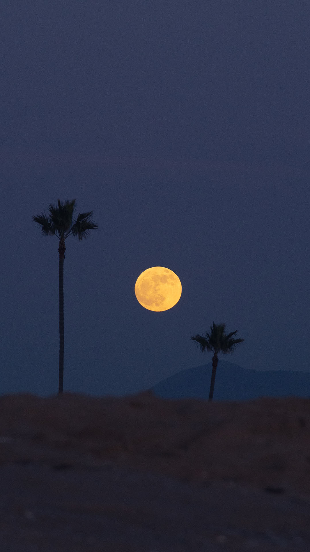 图片[5]-精选小众晚安文案-尖叫文案