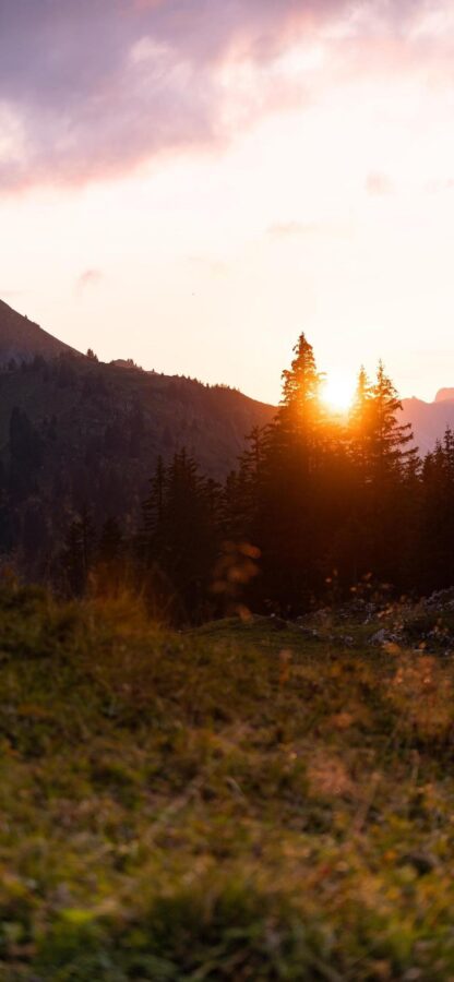 图片[25]-一眼惊艳的风景壁纸-尖叫文案