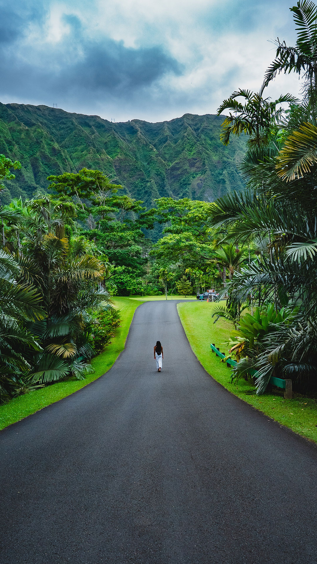 图片[2]-100句多种风格的早安文案-尖叫文案