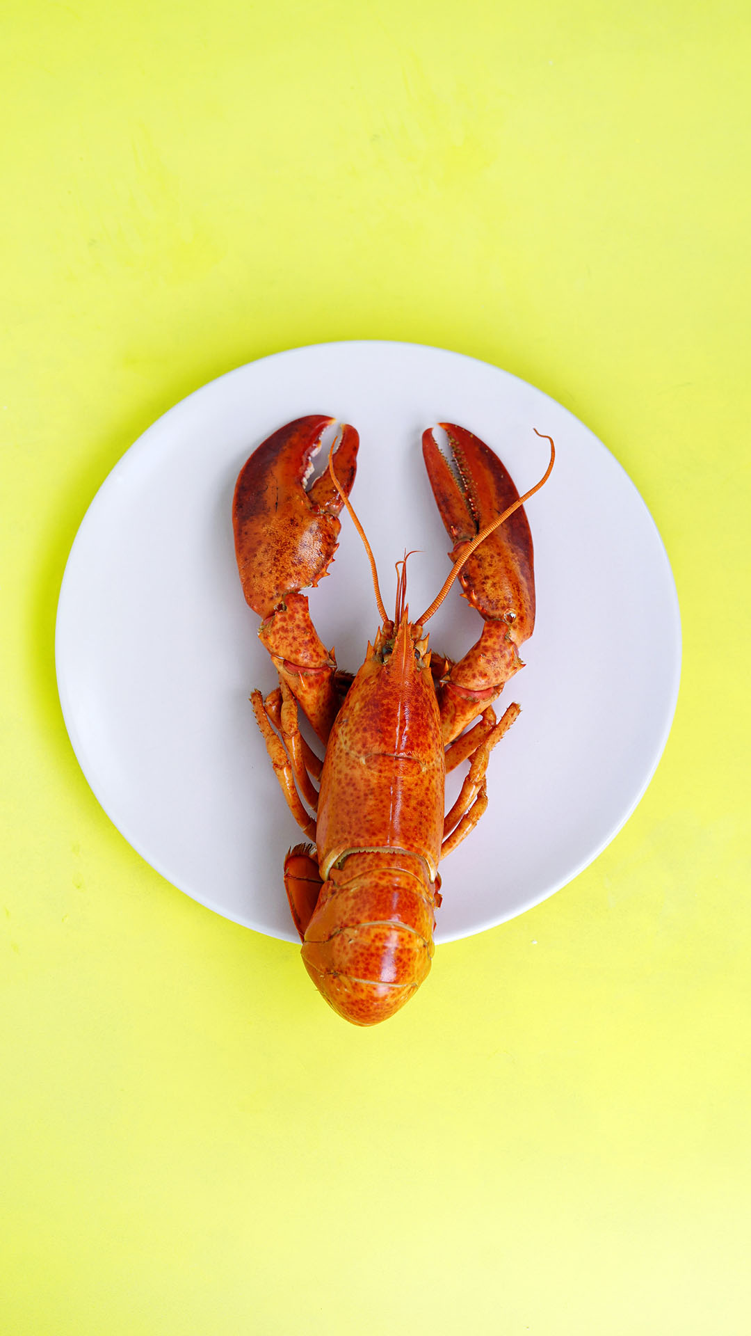 图片[3]-适合发朋友圈的美食文案-尖叫文案