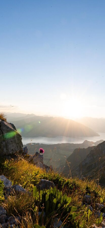 图片[24]-一眼惊艳的风景壁纸-尖叫文案