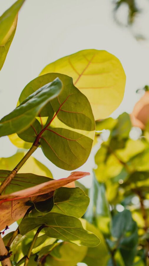 图片[6]-99句关于八月的文案-尖叫文案