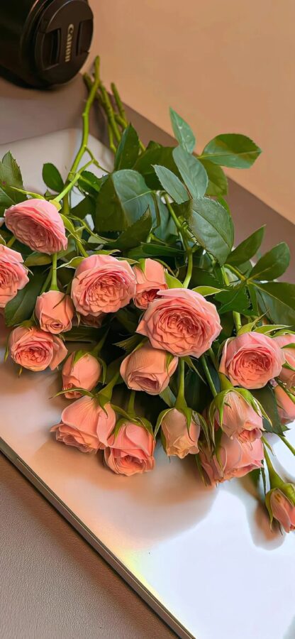 图片[35]-现代风手机壁纸分享-尖叫文案