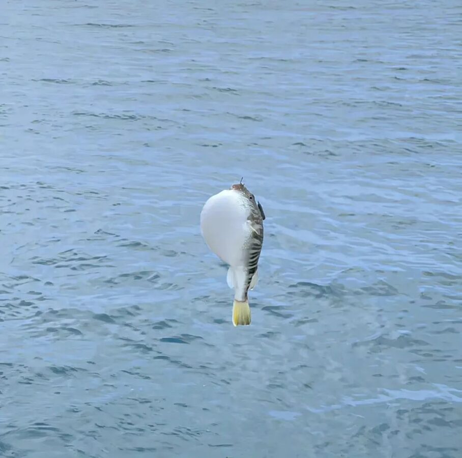 尖叫文案-你的创意灵感库