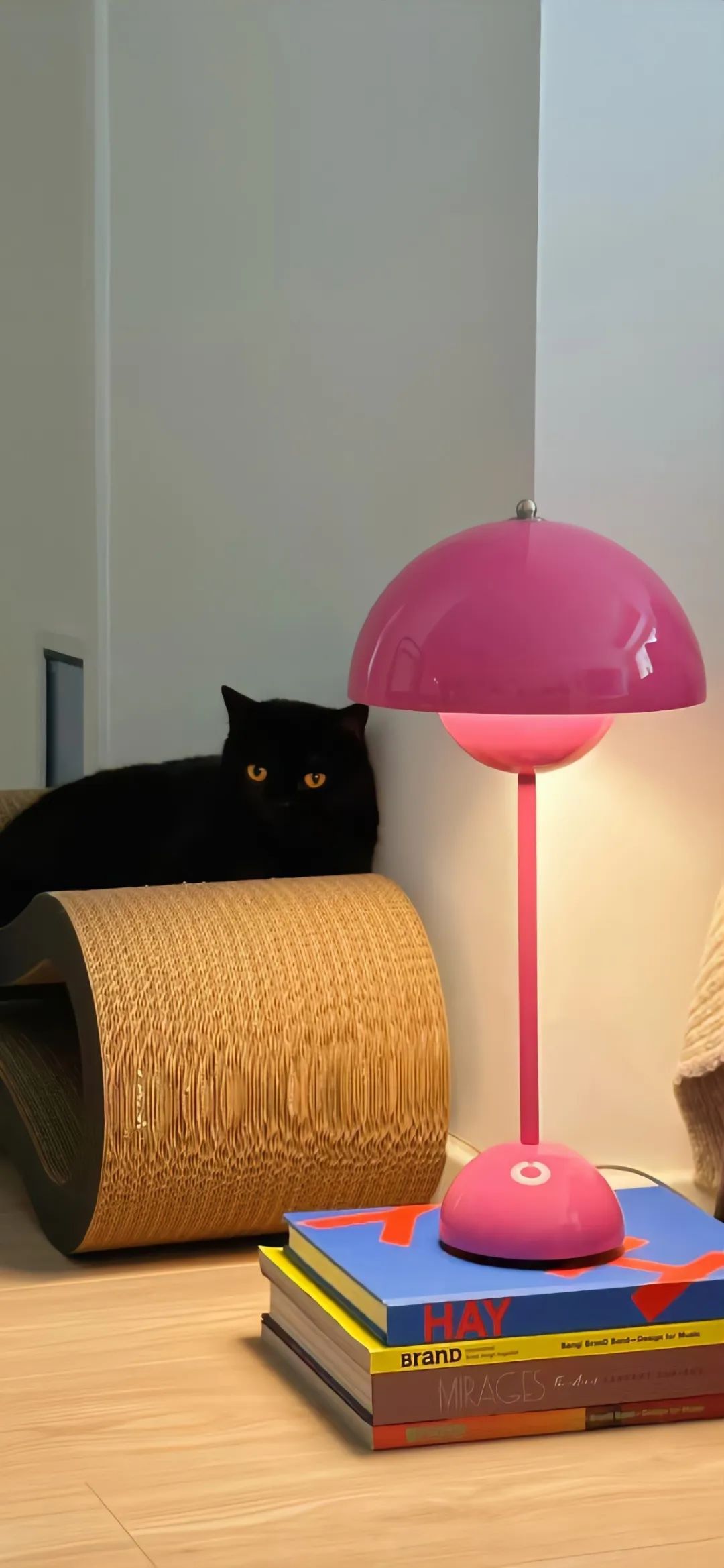 图片[3]-日常生活文案分享-尖叫文案