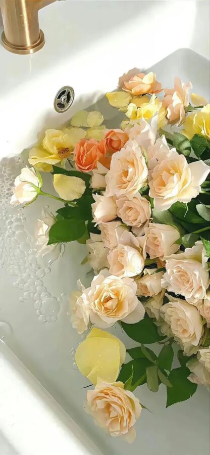 尖叫文案-你的创意灵感库