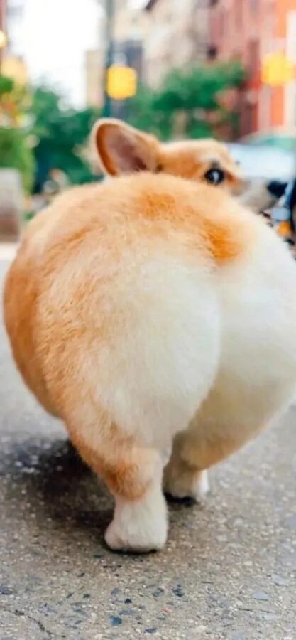 图片[22]-高级ins风手机壁纸-尖叫文案