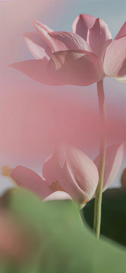 图片[21]-现代风手机壁纸分享-尖叫文案