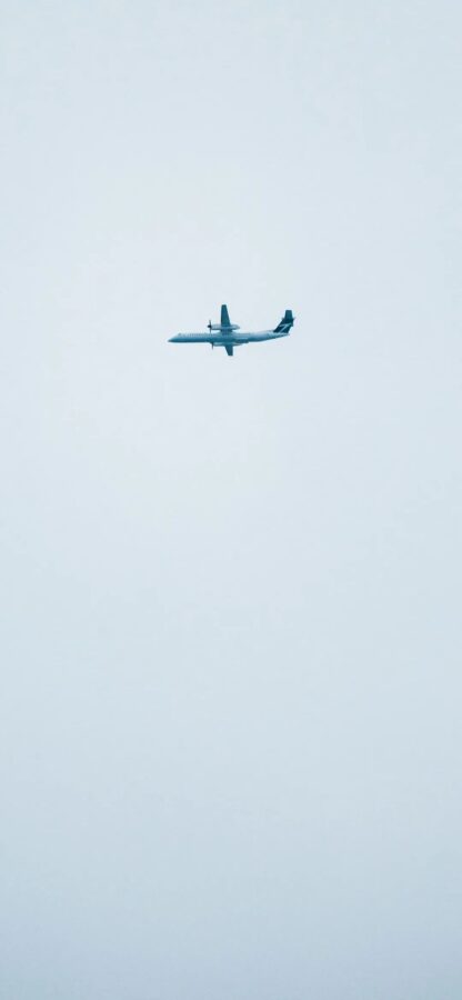 图片[37]-干净简约手机壁纸来袭-尖叫文案