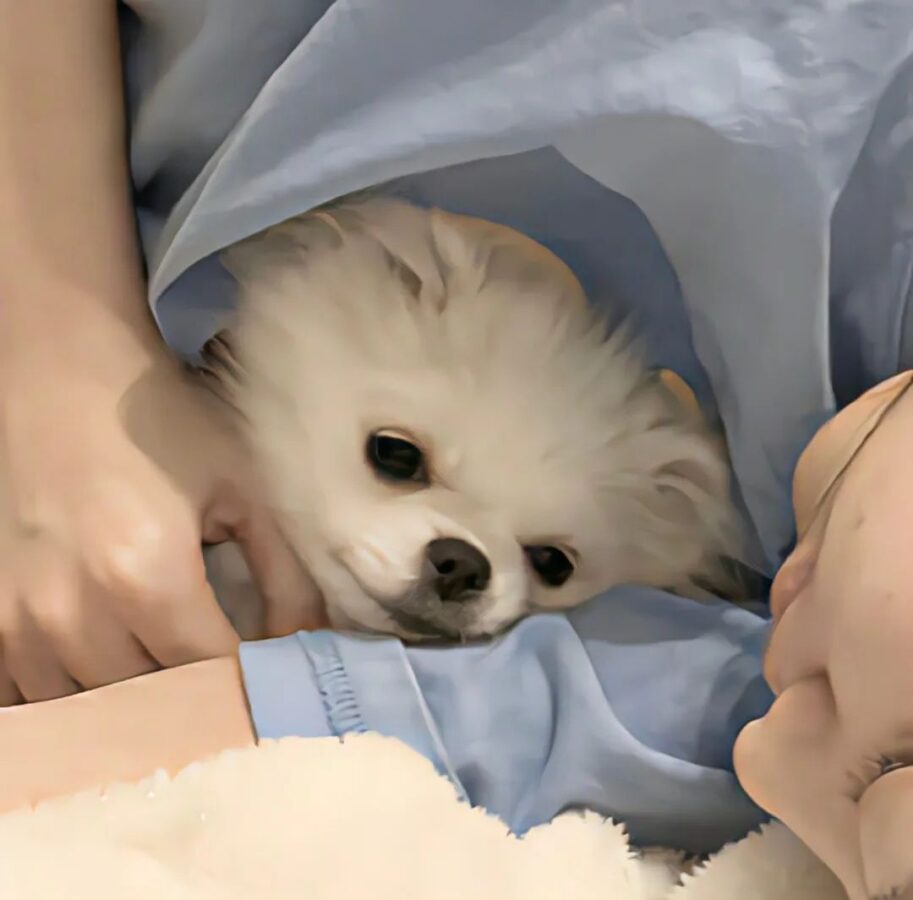 图片[25]-怦然心动的微信头像-尖叫文案