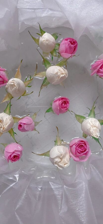 图片[18]-高级ins风手机壁纸-尖叫文案