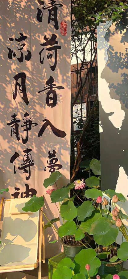 图片[41]-现代风手机壁纸分享-尖叫文案