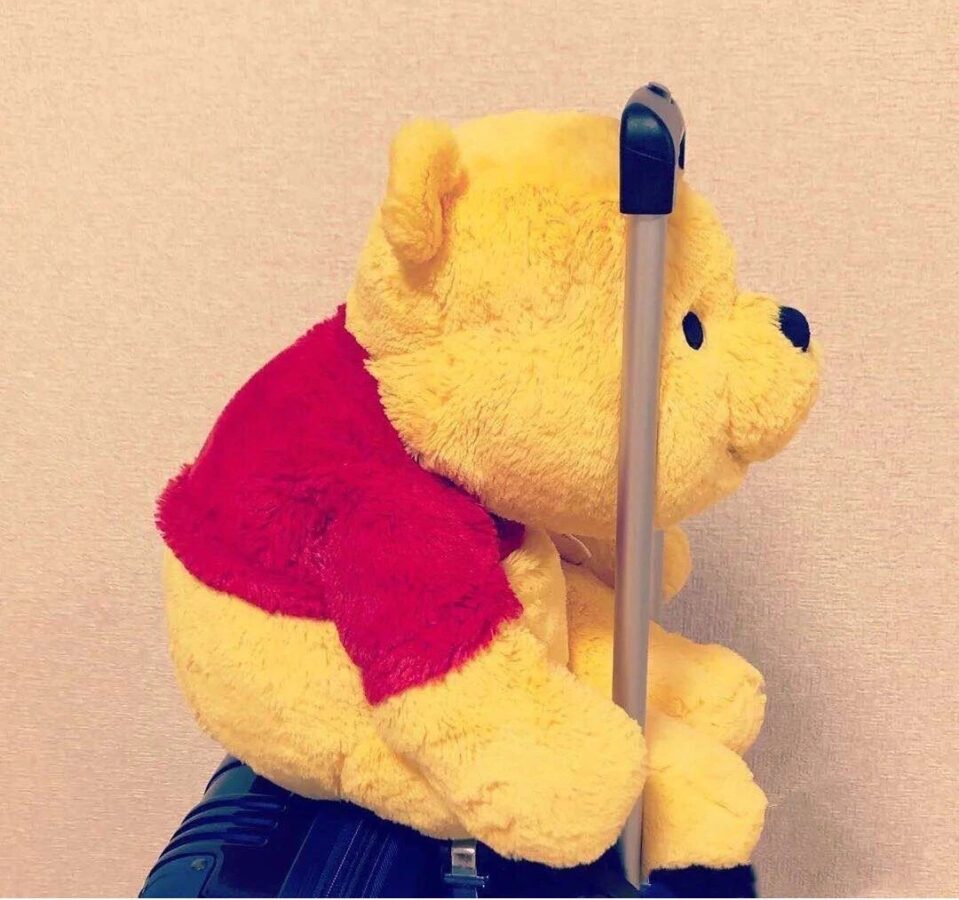 图片[6]-可爱有趣的微信头像-尖叫文案