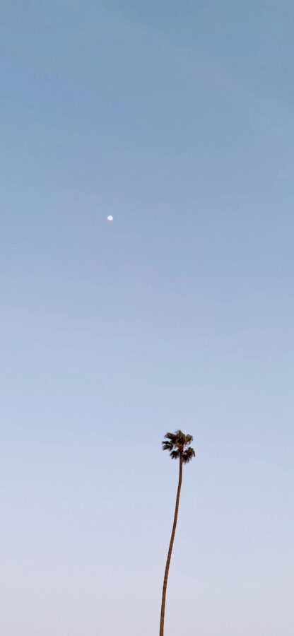 图片[47]-干净简约手机壁纸来袭-尖叫文案