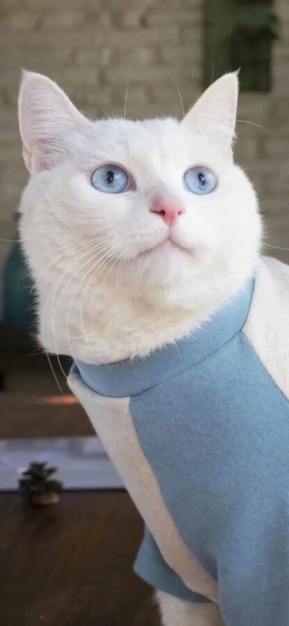 图片[23]-高级ins风手机壁纸-尖叫文案