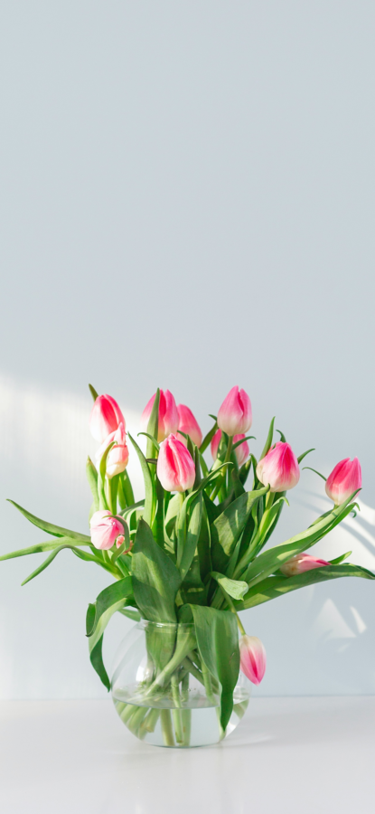 图片[21]-高级ins风手机壁纸-尖叫文案