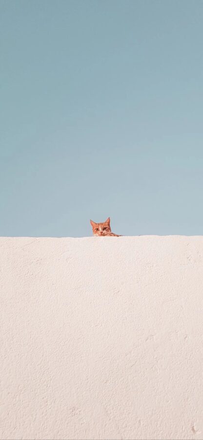 图片[39]-干净简约手机壁纸来袭-尖叫文案