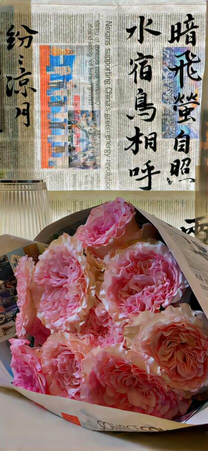 图片[25]-干净简约手机壁纸来袭-尖叫文案